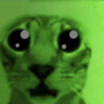 Green Bean