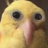 slexywexy