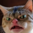 colbyjack21