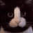 J.R.