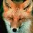 cosmicfox