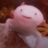 user2386