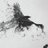 ravenshadow