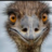 UncleEmu2025