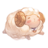 evermoon