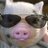 IlluminatiPig