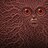 HungryNightOwl