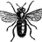 MrBee