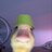 DuckDevGames