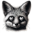 yapie
