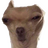 RandomDoggo