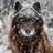 wwWolf