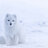 Whitee1990