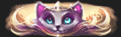 Purr