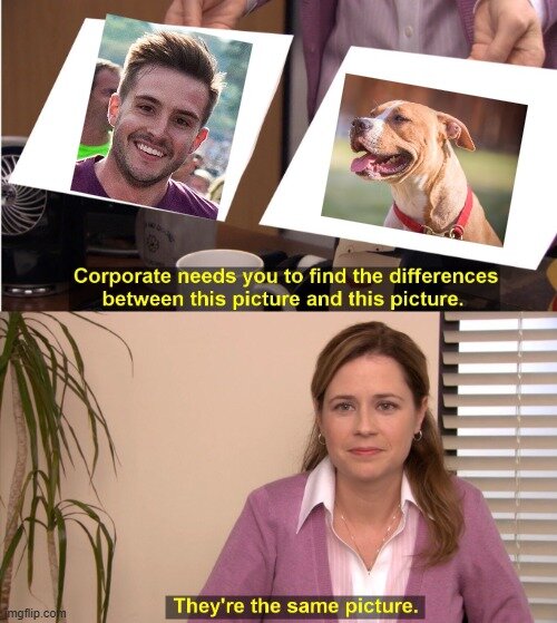 139250_1740579209.jpg